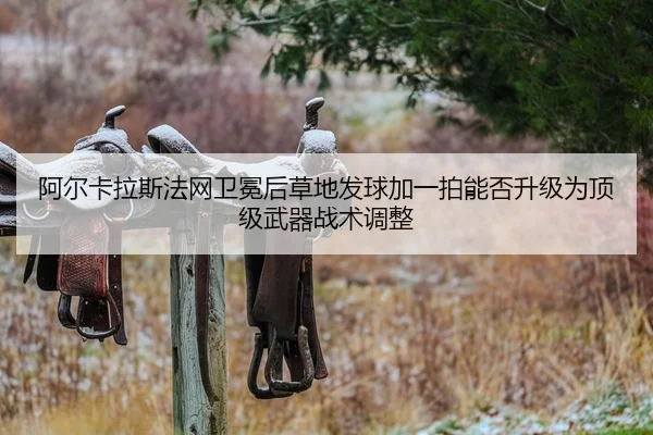 阿尔卡拉斯法网卫冕后草地发球加一拍能否升级为顶级武器战术调整 | jiuyou