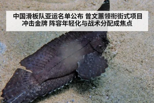中国滑板队亚运名单公布 曾文蕙领衔街式项目冲击金牌 阵容年轻化与战术分配成焦点